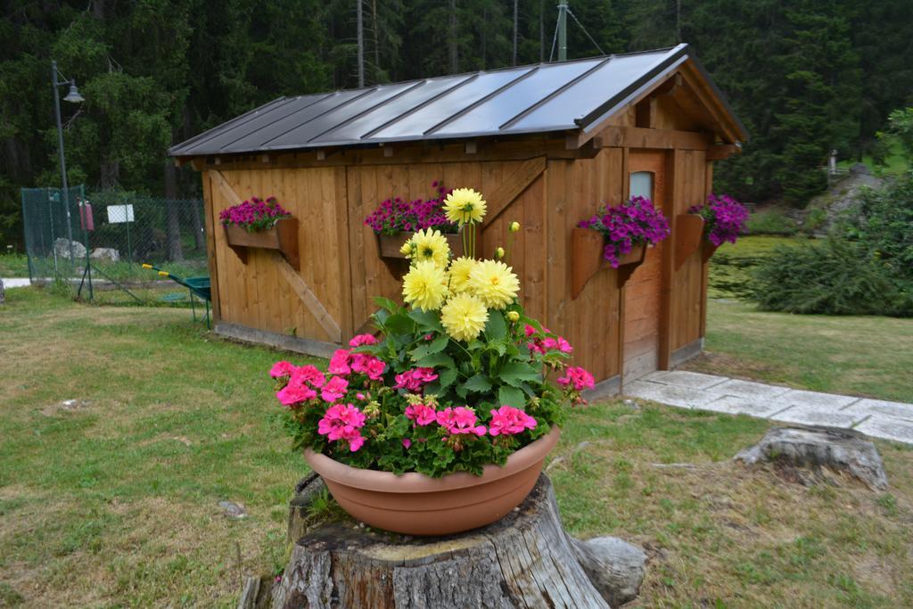 Chalet Al Lago San Vito di Cadore Bagian luar foto